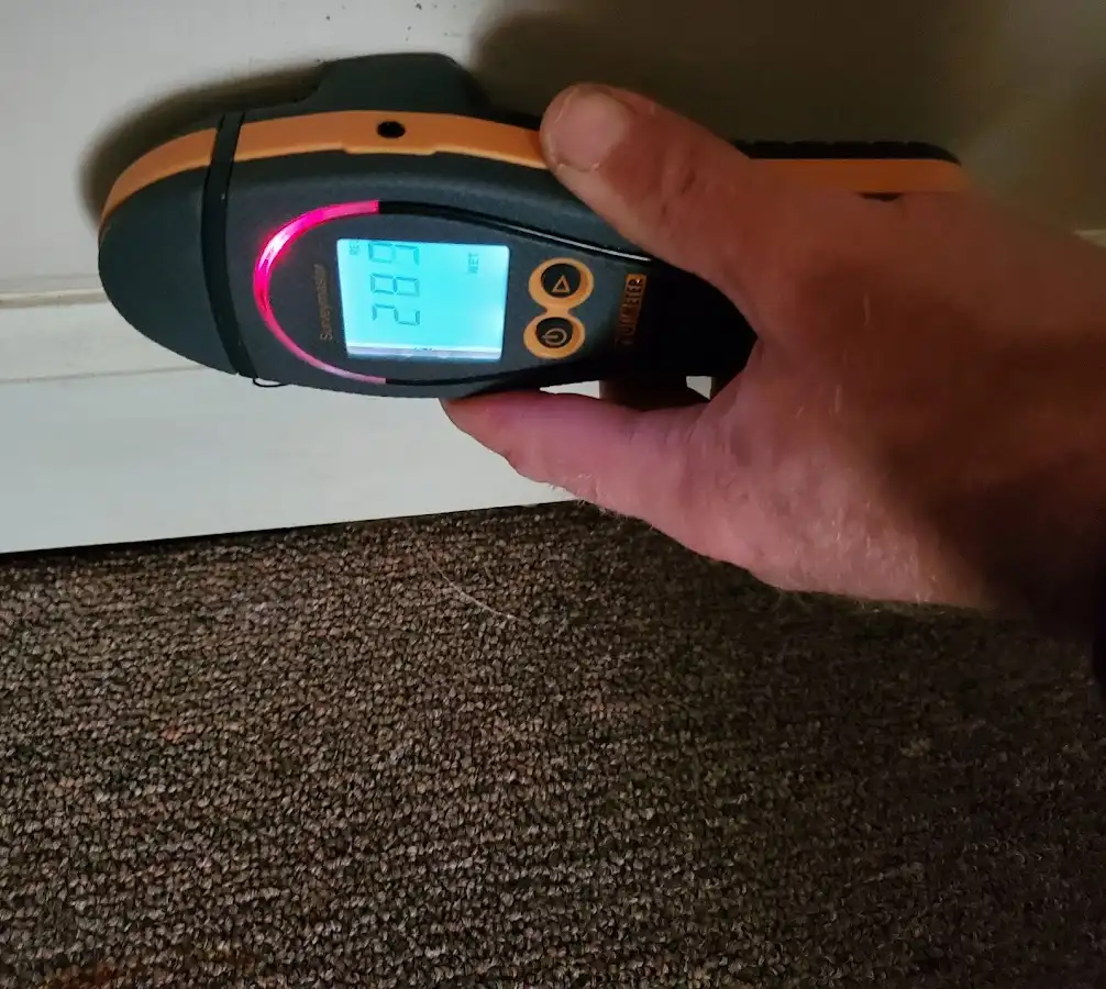 Moisture detection at baseboard during Sewage Cleanup & Sanitation in Lawndale